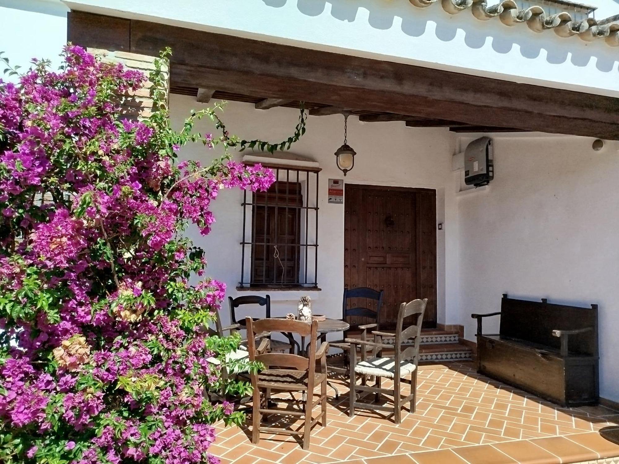 Villa Gran Casa Con Piscina Privada By Chiclana Dreams Chiclana de la Frontera Exterior foto